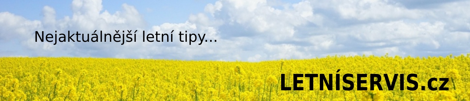 BANNER_LetniServis_image_text